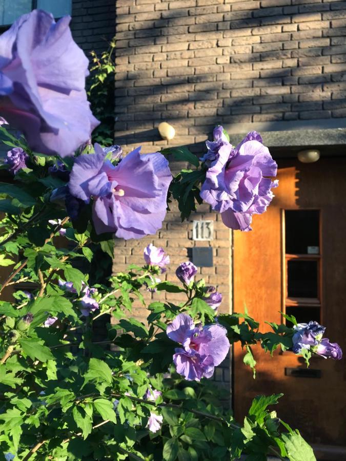 Eikenburg B&B Eindhove Kültér fotó